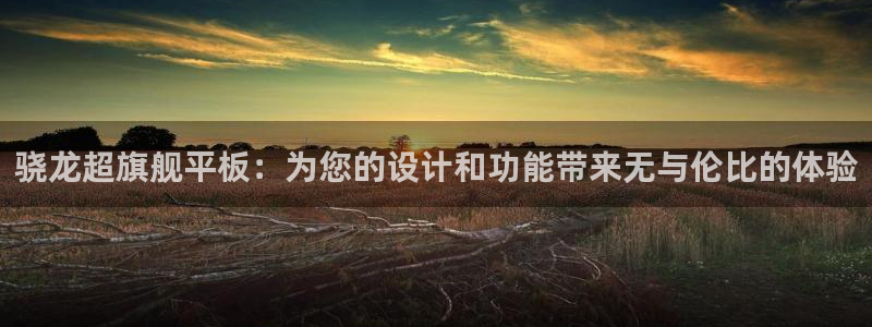 旺财28官方app下载安装：骁龙超旗舰平板：为您的设计和功能带来无与伦比的体验