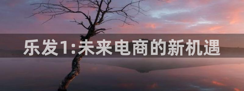 壹号平台下载安装：乐发1:未来电商的新机遇