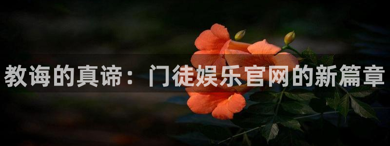 壹号平台下载安装官网：教诲的真谛：门徒娱乐官网的新篇章