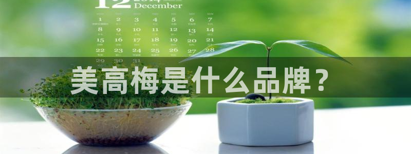 旺财28,com：美高梅是什么品牌？