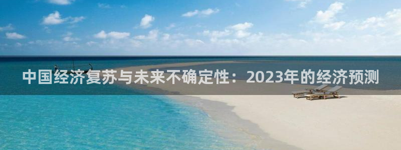 壹号app官网版下载：中国经济复苏与未来不确定性：2023年的经济预测