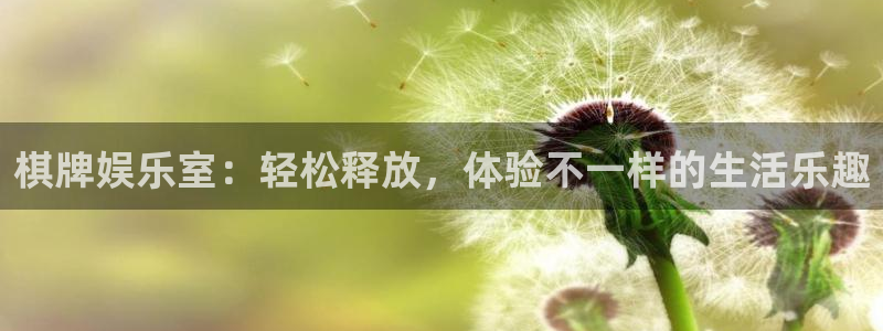 壹号国际app免费下载安装：棋牌娱乐室：轻松释放，体验不一样的生活乐趣