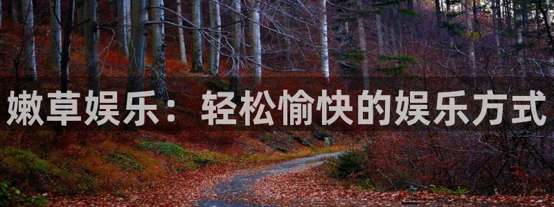 壹号电子娱乐app下载最新版本安装：嫩草娱乐：轻松愉快的娱乐方式