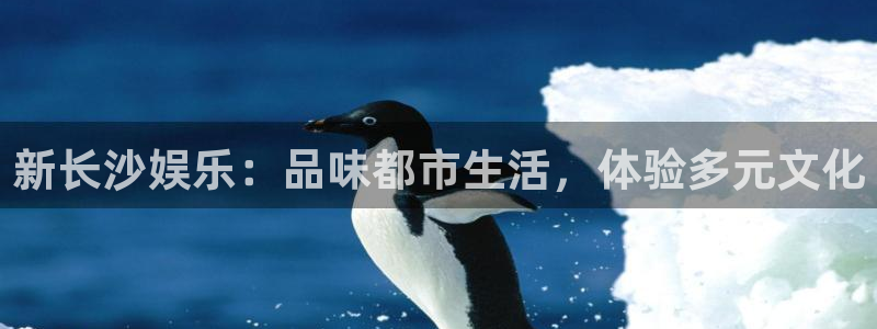 旺财28app最新版怎么下载苹果：新长沙娱乐：品味都市生活，体验多元文化