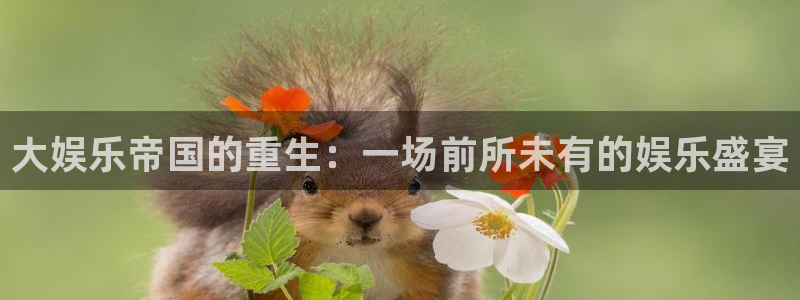 壹号app下载链接
