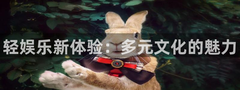 壹号app下载官方网站：轻娱乐新体验：多元文化的魅力