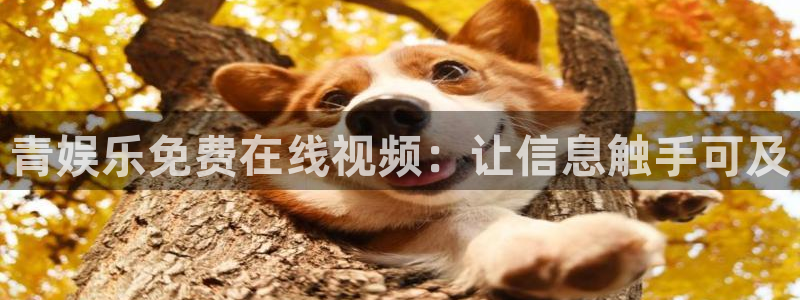 旺财28能退款吗：青娱乐免费在线视频：让信息触手可及