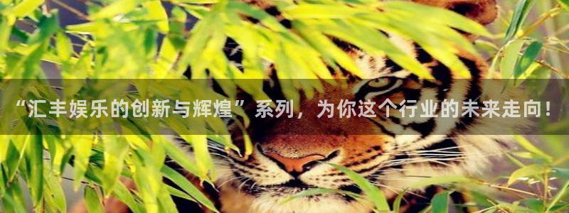 旺财28下载入口