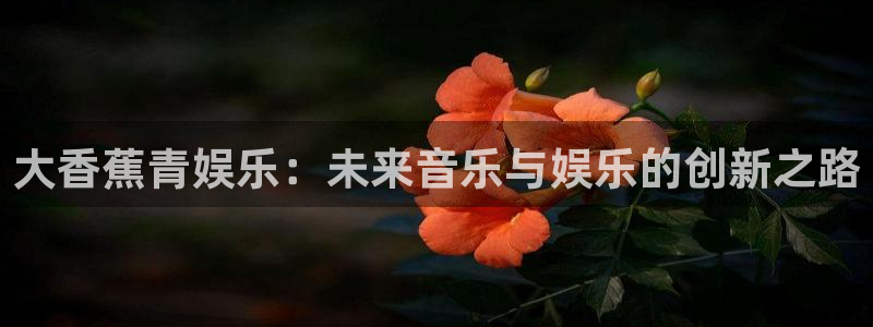 壹号大舞台娱乐app下载安装：大香蕉青娱乐：未来音乐与娱乐的创新之路