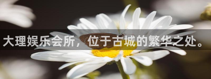 旺财28科技赋能,让平台更有趣：大理娱乐会所，位于古城的繁华之处。