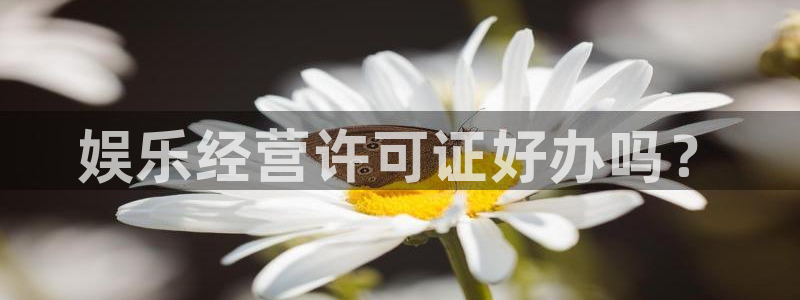壹号大舞台下载链接：娱乐经营许可证好办吗？