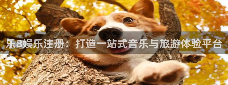 壹号电子娱乐app下载最新版：乐8娱乐注册：打造一站式音乐与旅游体验平台