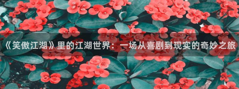 旺财28,apk.