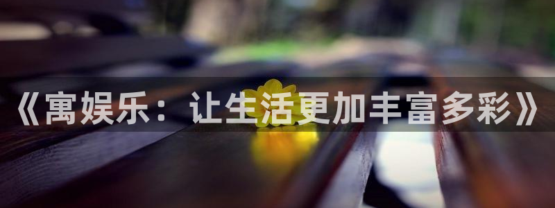 旺财28,apk