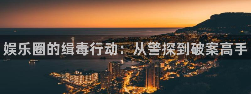 壹号电子娱乐app下载安装：娱乐圈的缉毒行动：从警探到破案高手