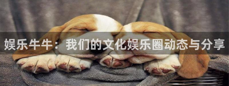 旺财28充值怎么退款：娱乐牛牛：我们的文化娱乐圈动态与分享