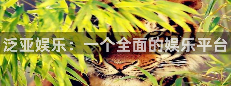 壹号大舞台,有梦你就来：泛亚娱乐：一个全面的娱乐平台