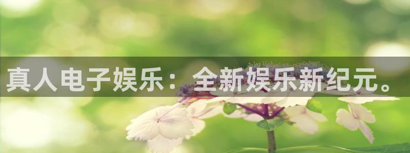 壹号大舞台怎么下载：真人电子娱乐：全新娱乐新纪元。