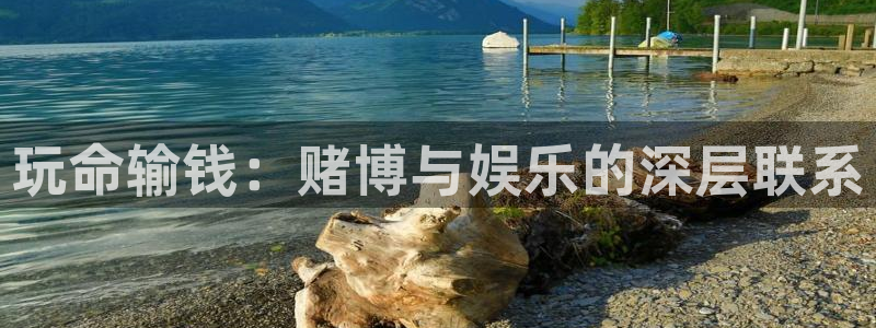 旺财28app官网下载苹果：玩命输钱：赌博与娱乐的深层联系