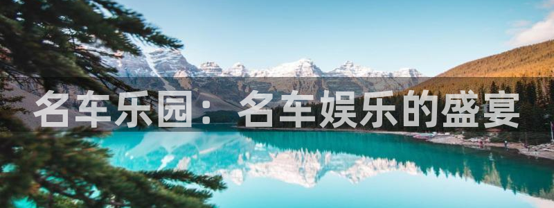旺财28,apk.1：名车乐园：名车娱乐的盛宴