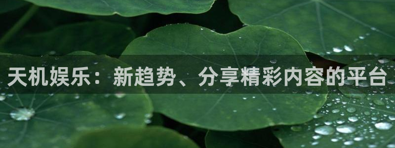 旺财28,apk.：天机娱乐：新趋势、分享精彩内容的平台
