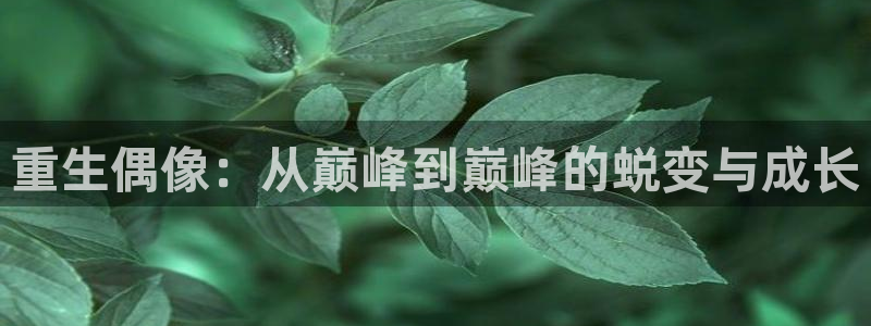 旺财28app官网下载苹果：重生偶像：从巅峰到巅峰的蜕变与成长