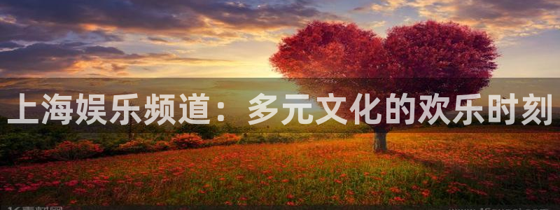 壹号大舞台：上海娱乐频道：多元文化的欢乐时刻