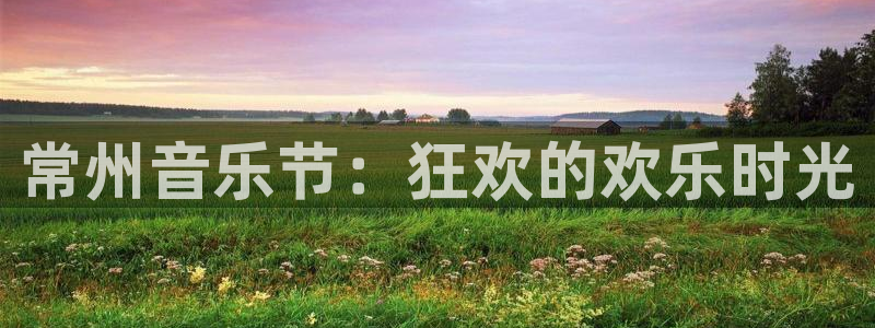 壹号app下载链接：常州音乐节：狂欢的欢乐时光