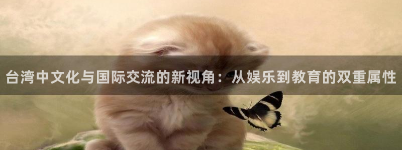 旺财28,apk：台湾中文化与国际交流的新视角：从娱乐到教育的双重属性