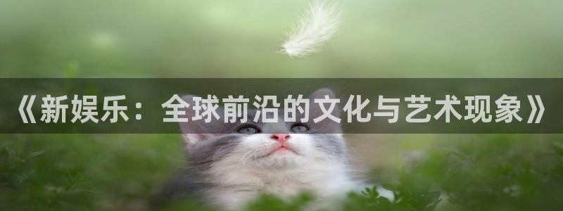 壹号注册入口app下载：《新娱乐：全球前沿的文化与艺术现象》