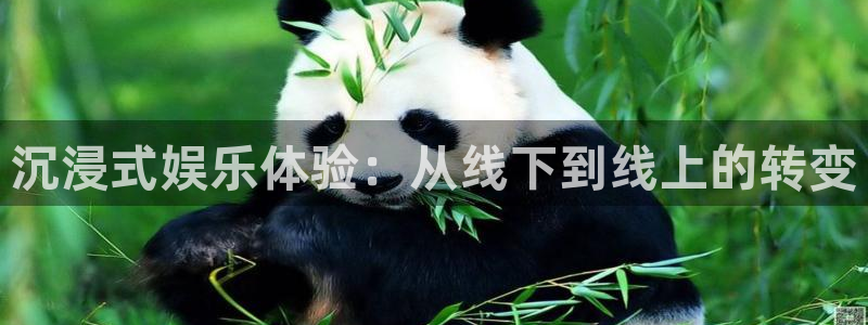 旺财28app下载安装最新版：沉浸式娱乐体验：从线下到线上的转变