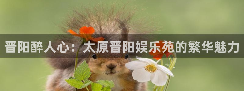 旺财28app最新版怎么下载苹果：晋阳醉人心：太原晋阳娱乐苑的繁华魅力