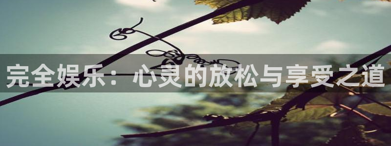 旺财28-ng大舞台,有梦你就来：完全娱乐：心灵的放松与享受之道
