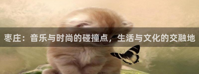 旺财28强制退款流程详解：枣庄：音乐与时尚的碰撞点，生活与文化的交融地