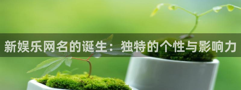 旺财28app下载：新娱乐网名的诞生：独特的个性与影响力