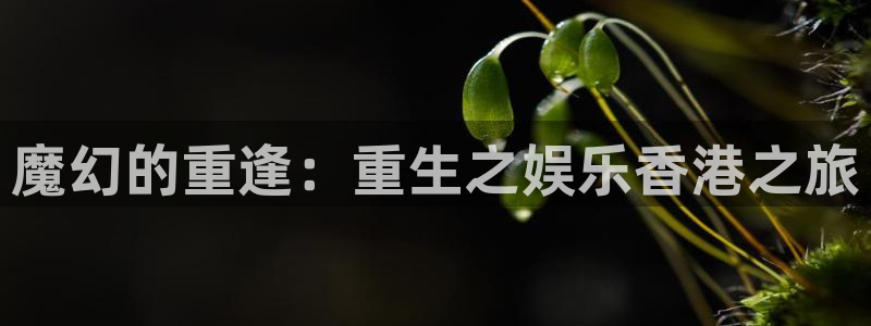 壹号大舞台