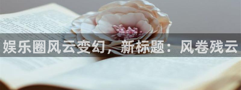 壹号大舞台官网：娱乐圈风云变幻，新标题：风卷残云