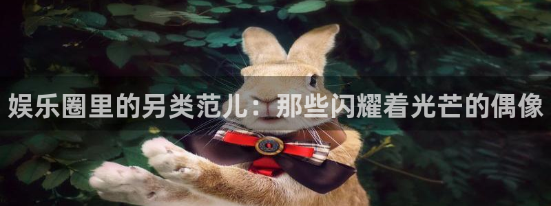 旺财28,apk.：娱乐圈里的另类范儿：那些闪耀着光芒的偶像
