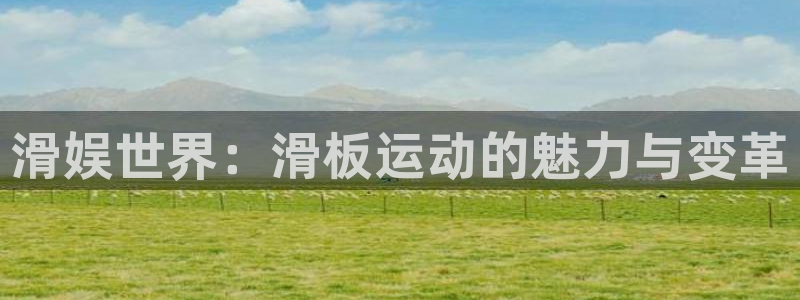 下载旺财28app：滑娱世界：滑板运动的魅力与变革