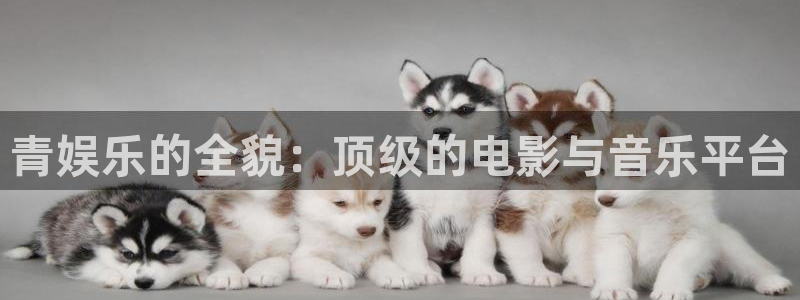 壹号电子娱乐app下载官网：青娱乐的全貌：顶级的电影与音乐平台