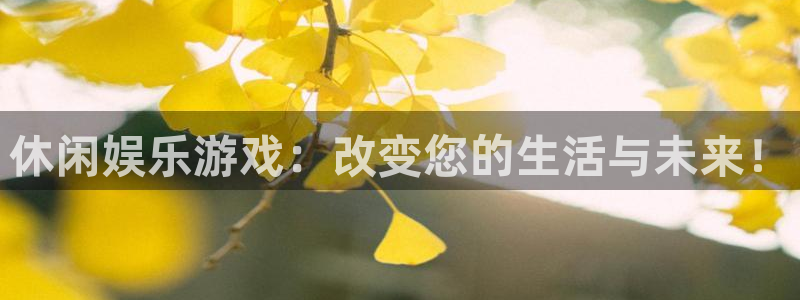 旺财28,apk.：休闲娱乐游戏：改变您的生活与未来！