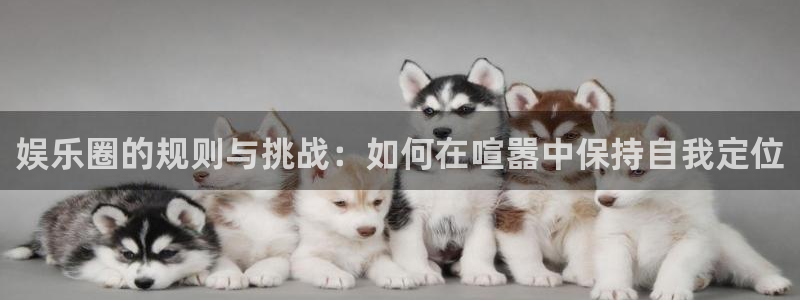 旺财28com：娱乐圈的规则与挑战：如何在喧嚣中保持自我定位