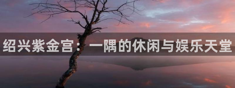 旺财28app下载安装最新版：绍兴紫金宫：一隅的休闲与娱乐天堂